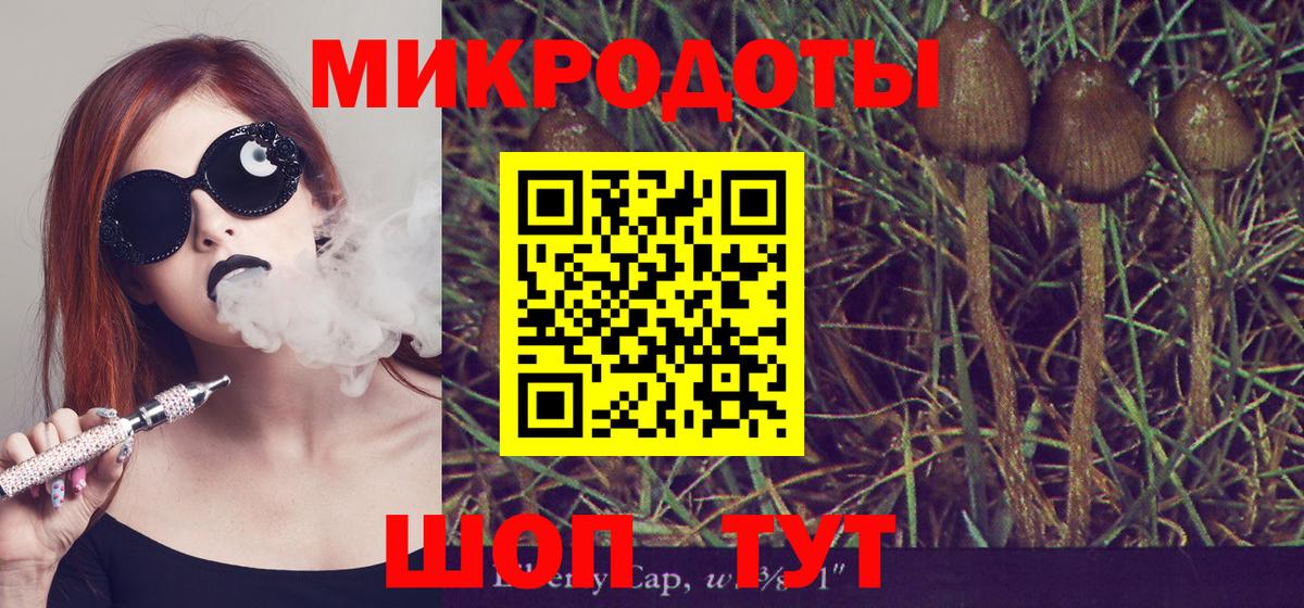 Галлюциногенные грибы Magic Shrooms Кулебаки